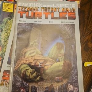 Teenage Mutant Ninja Turtles Comic Book 19
